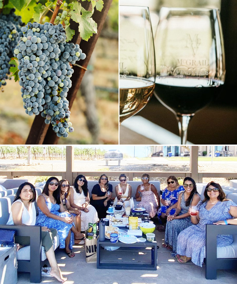 collage featuring cabernet grapes, wine in glass, and guests seated in outdoor lounge area having a picnic
