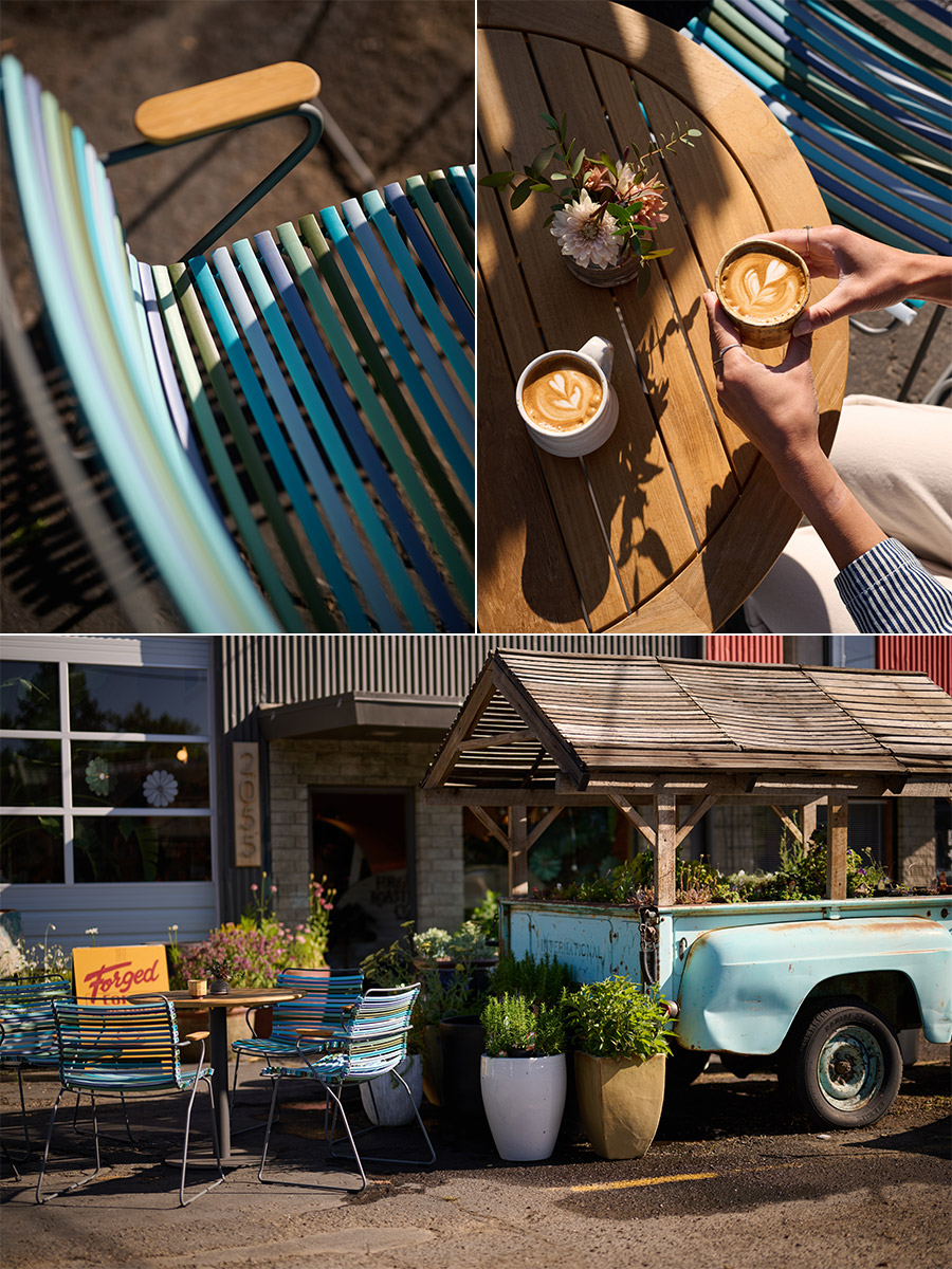 coffee-plant-collage-two