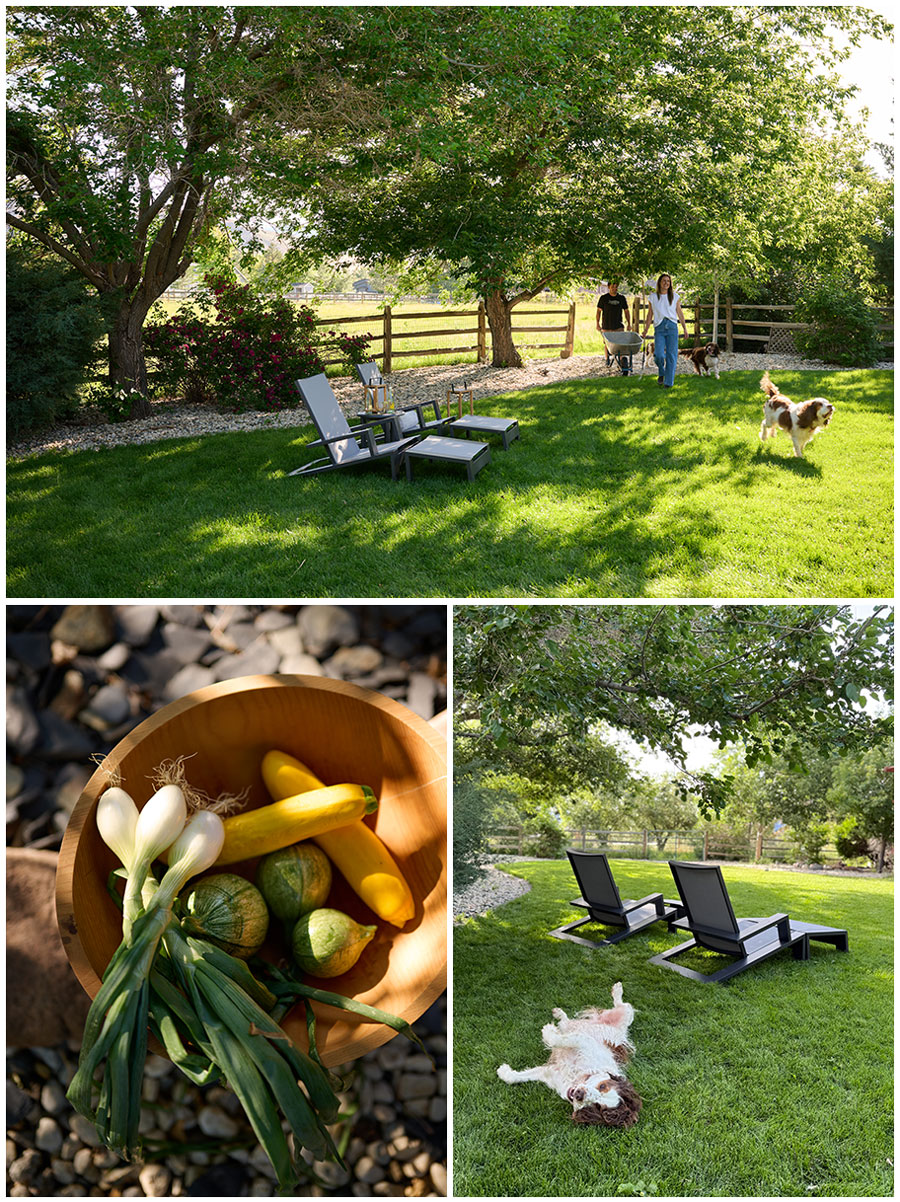 farmhouse-patio-ideas Adirondacks, animals and other adirondack patio ideas