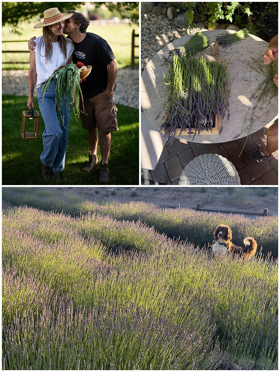 more-modern-farm-images Outdoors with a young couple on a farmhouse backyard