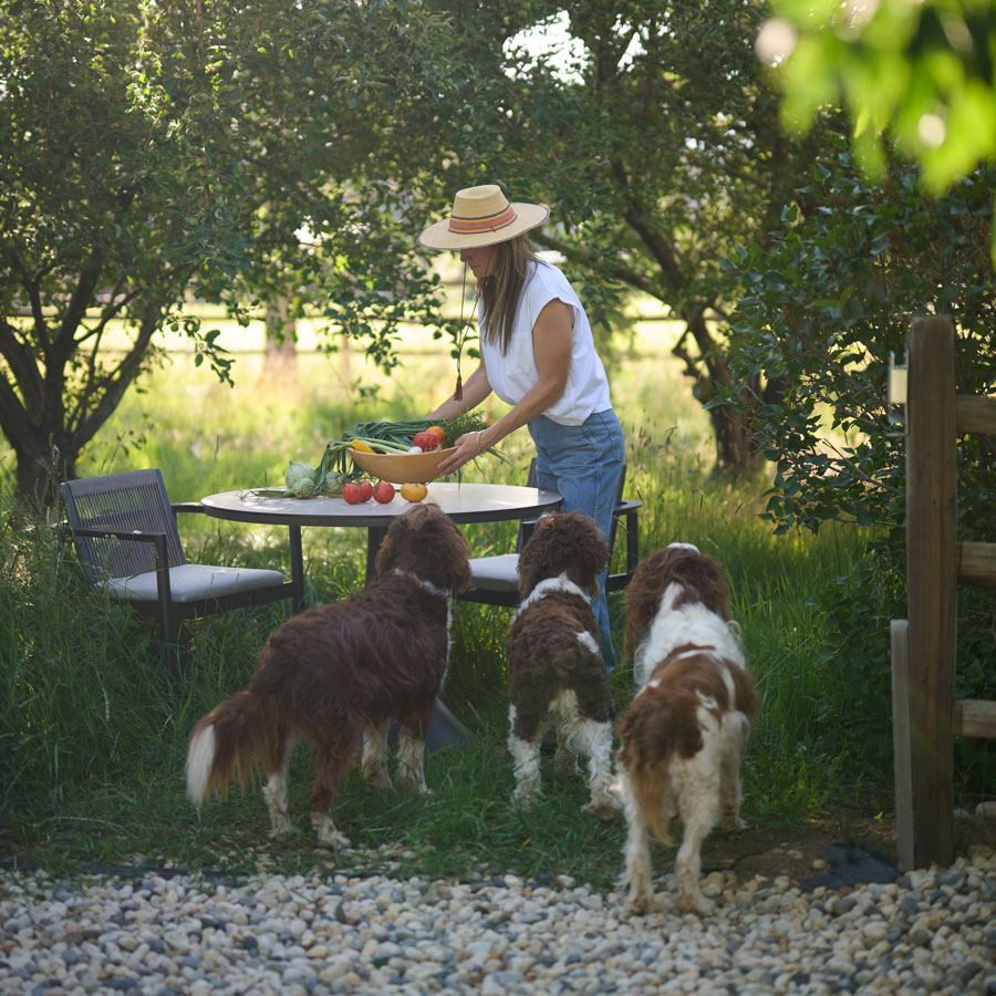 outdoor-farmhouse-patio-dining outdoor dining on a modern farmhouse patio