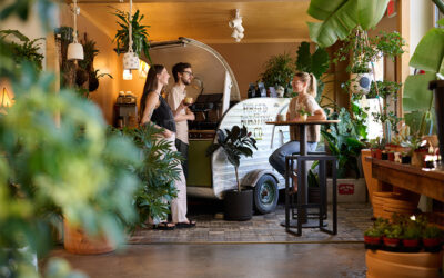 In Real Life | Leaves & Lattes, Coffee & Plants